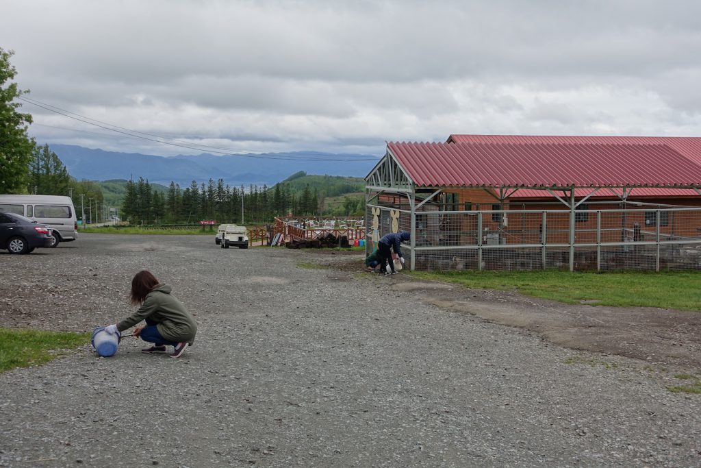 201606_Furano-Star_106