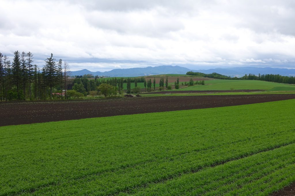 201606_Furano-Star_152
