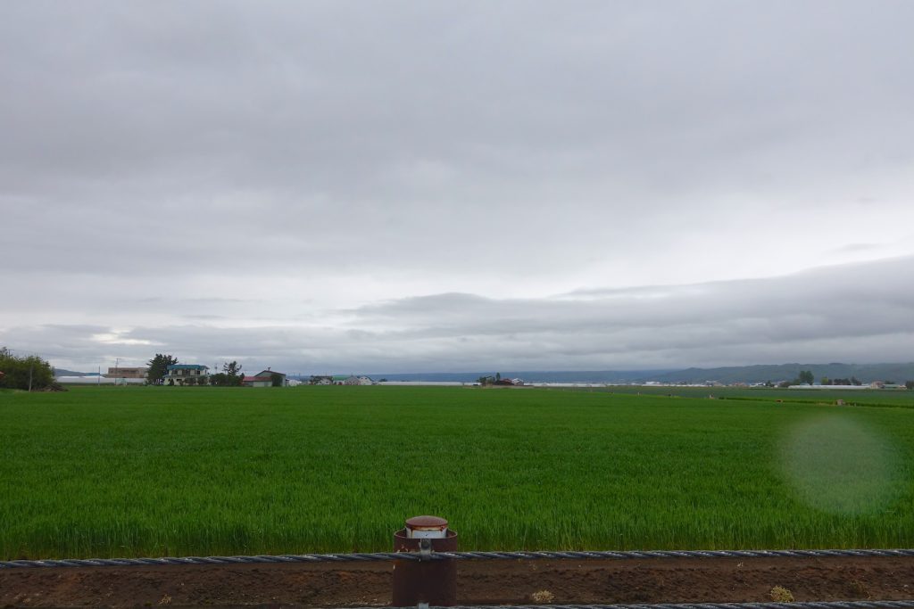 201606_Furano-Star_9